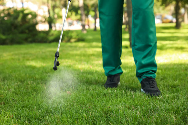 Best Best Pest Control Companies  in Southgate, FL
